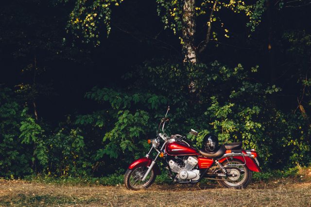 This image showcases a vintage red motorcycle parked in a lush forest. Ideal for depicting adventure, freedom, and outdoor experiences. Suitable for travel agencies, outdoor lifestyle blogs, and automotive enthusiasts.