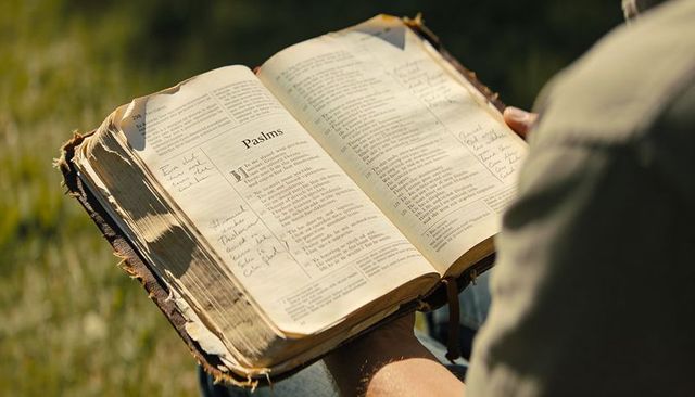 Worn bible open to psalms with handwritten notes and ribbon in sunlit meadow
