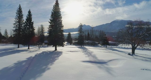 Beautiful winter scene showcasing snow-covered trees and distant mountains basking in sunlight. Ideal for promoting travel destinations, winter activities, holiday cards, nature documentaries, background images, or seasonal advertisements.