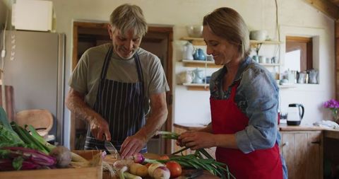 Senior Couple Enjoying Cooking Together in Rustic Kitchen