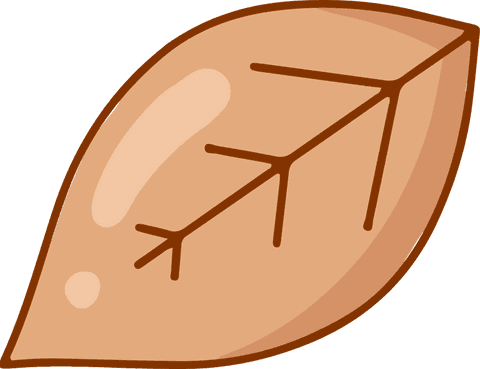 Brown cartoon leaf design with transparent background