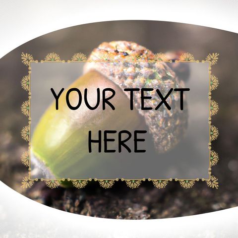 acorn placeholder for nature or investment story social media - Download Free Stock Templates Pikwizard.com