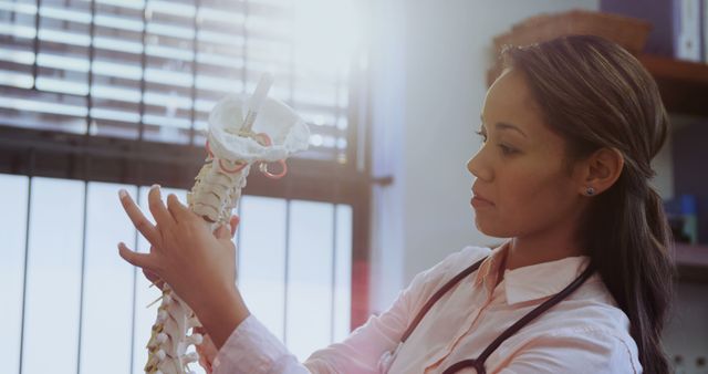 Female Doctor Examining Anatomical Spine Model in Medical Office - Download Free Stock Images Pikwizard.com