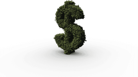 Transparent green foliage dollar sign growth concept