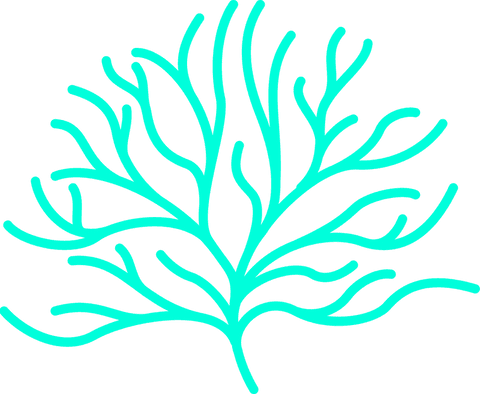 abstract turquoise branch art on transparent background - Download Free Stock Videos Pikwizard.com