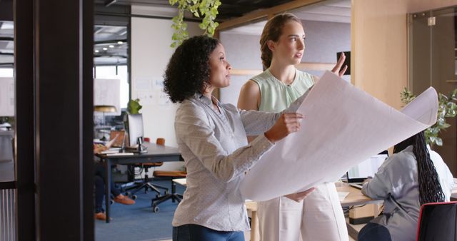 Two architects, one holding blueprints, are discussing a project in a modern office. They appear focused and engaged, indicating an active and collaborative work environment. This stock photo can be used for themes related to architecture, planning, corporate settings, teamwork, and modern workspaces.