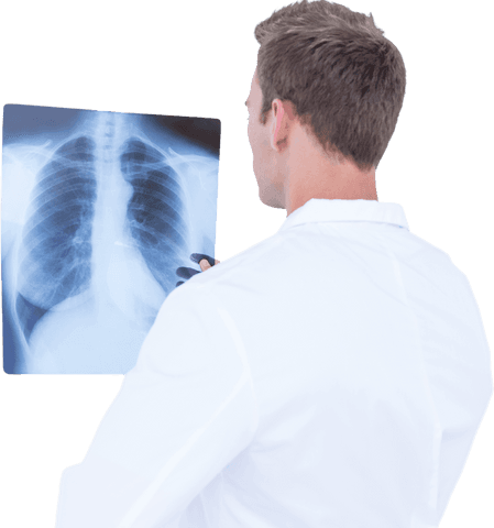 Male doctor examines chest x-ray on transparent background