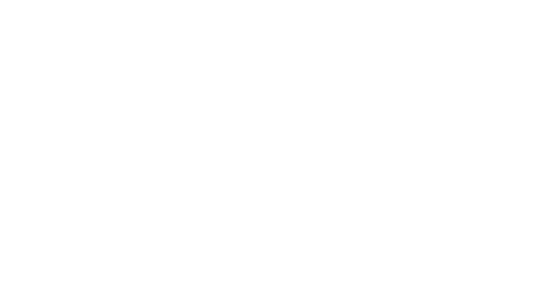 elegant ornate lace frame with floral motifs on transparent background - Download Free Stock Videos Pikwizard.com