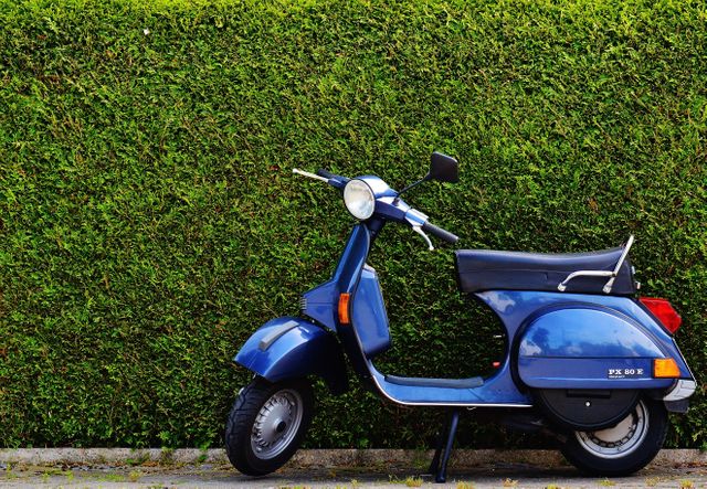 Blue Moped by Green Bush at Roadside - Download Free Stock Photos Pikwizard.com