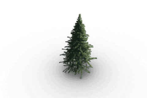 transparent green christmas tree on isolated background - Download Free Stock Videos Pikwizard.com