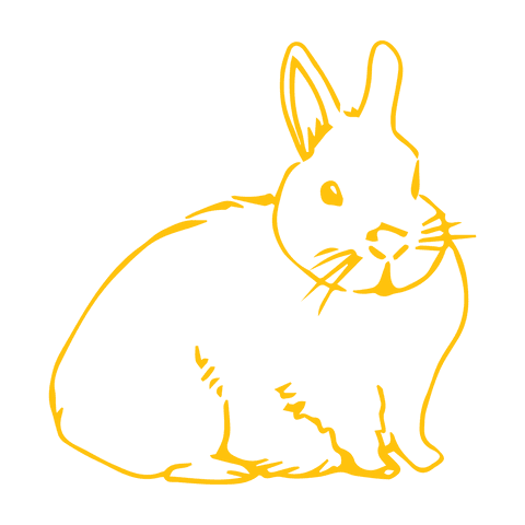 Yellow Bunny Illustration on Transparent Background for Easter - Download Free Stock Videos Pikwizard.com