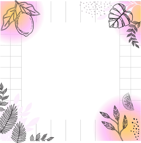 minimalistic botanical frame with citrus and monstera on transparent background - Download Free Stock Videos Pikwizard.com