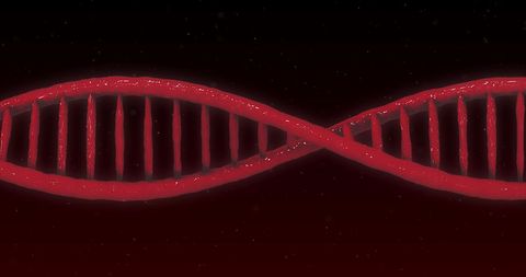 glowing red dna helix in digital artistic representation - Download Free Stock Images Pikwizard.com