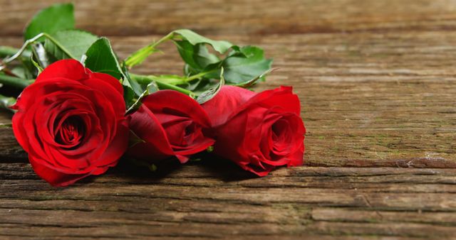 Three vibrant red roses lie on an aged wooden surface, creating a striking contrast. Perfect for use in romantic and love-themed projects, Valentine's Day promotions, wedding invitations, floral advertisements, and gift guides.