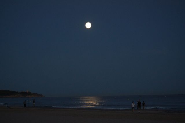 This image is perfect for illustrating the peacefulness of a moonlit beach. Ideal for travel blogs, relaxation or meditation content, and social media posts focused on nature and serene environments.