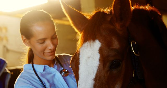 Happy Veterinarian Examining Horse in Barn - Download Free Stock Images Pikwizard.com