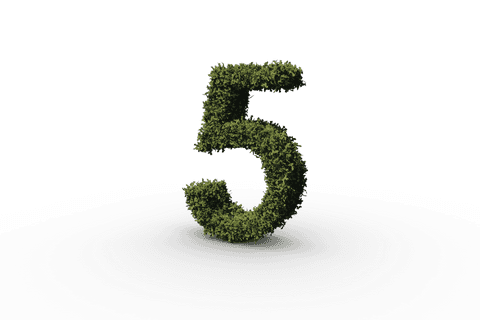 five shaped with grass on transparent background for eco concepts - Download Free Stock Videos Pikwizard.com