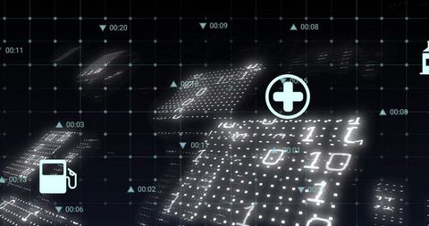 Network Connections over Ecology Icons and Data Environment
