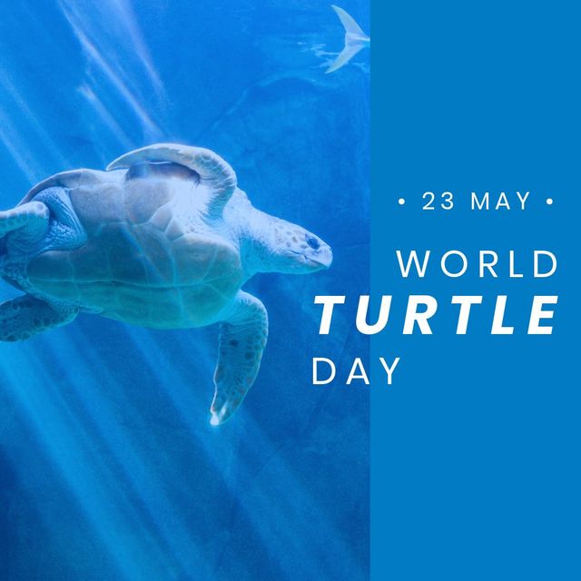Composite image of world turtle day text with turtle swimming in background at aquarium, copy space. illustration, world turtle day, endangered, save turtle and social awareness.