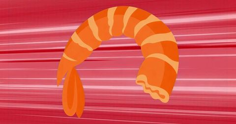 Dynamic stylized shrimp illustration on vibrant red background