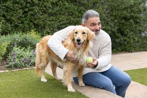 Smiling middle-aged man kneeling hugging golden retriever holding tennis ball in backyard