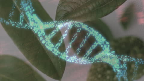 Digital Animation of DNA Overlay on Green Leaves