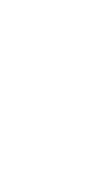 Transparent Silhouette of Male Touchdown in American Football - Download Free Stock Videos Pikwizard.com