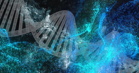 Intricate DNA Structure on Dynamic Molecular Background