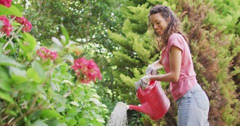Woman Tending Garden with Red Watering Can - Download Free Stock Images Pikwizard.com