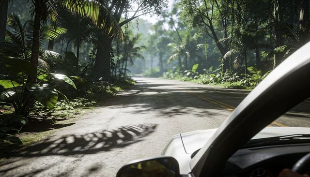 Driving on sunlit tropical road through lush jungle from car cabin view