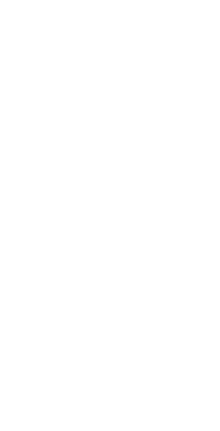 Silhouette of sporty woman weightlifting on transparent background