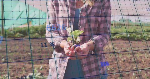 Woman holding seedling with digital data in greenhouse for sustainable farming