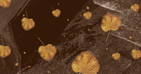 Golden autumn leaves across abstract brown waves