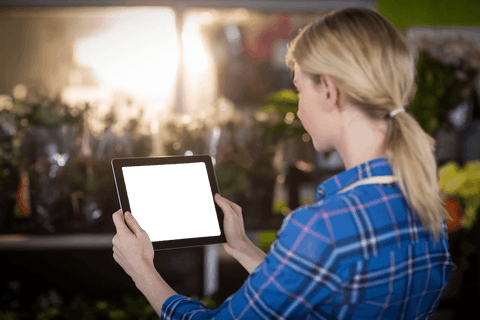 Florist Using Transparent Tablet in Shop Greenhouse Setting