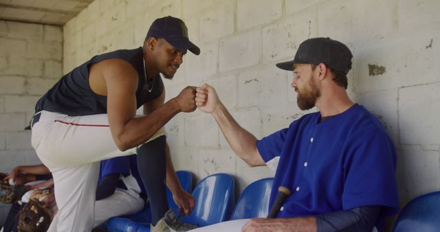 This image shows two baseball players in a dugout, engaging in a fist bump, symbolizing teamwork and camaraderie. It is suitable for articles or advertisements that focus on sportsmanship, teamwork, and the bond formed among team members in sports settings. Ideal for use in sports magazines, team-building workshops, and inspirational sports-themed content.