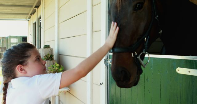 Young girl petting horse in stable - Download Free Stock Images Pikwizard.com
