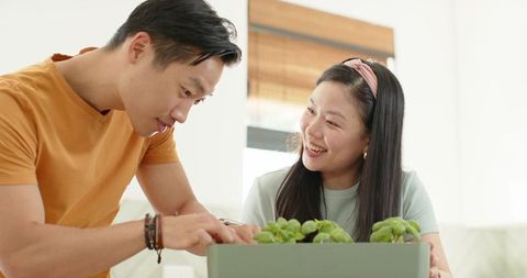 Asian couple tending indoor herb planter in sunlit cozy living room