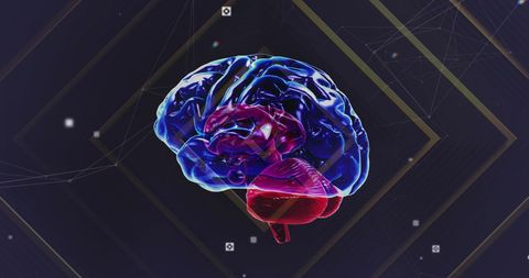 Colorful Brain on Digital Tech Background with Data Interface - Download Free Stock Images Pikwizard.com