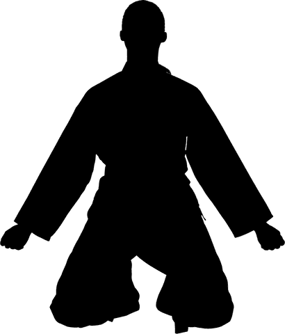 Transparent silhouette of male martial artist in motion