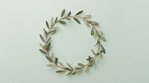 Simple olive branch wreath on mint green background