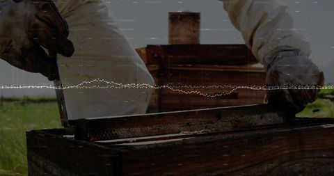 Beekeeper lifting honeycomb frame with hive tool and waveform data overlay in apiary