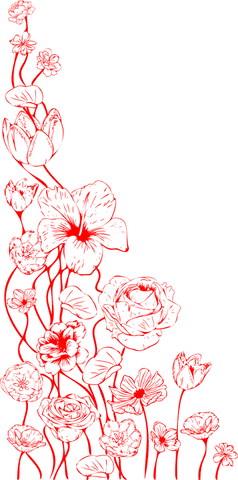 Red Floral Vine Illustration on Transparent Background, Ornamental Design - Download Free Stock Videos Pikwizard.com