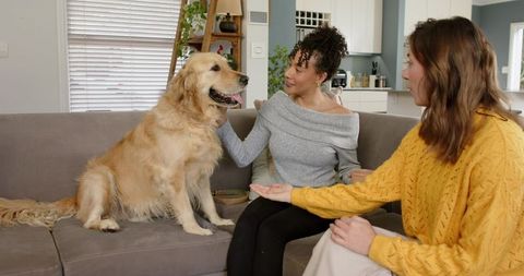 Two women petting golden retriever on sofa in cozy modern living room, warm companionship
