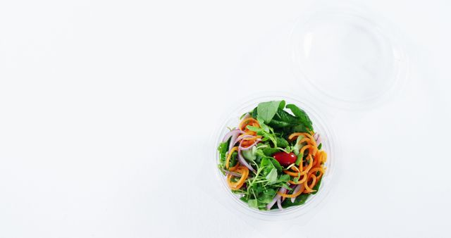 Fresh Vegetable Salad in Plastic Container on White Background - Download Free Stock Images Pikwizard.com