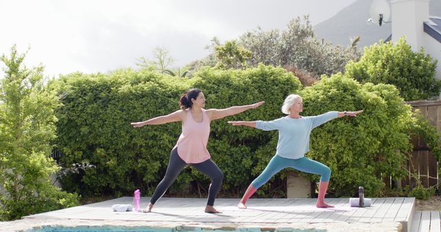 Diverse Women Practicing Yoga Poses Outdoors on Sunny Day - Download Free Stock Images Pikwizard.com