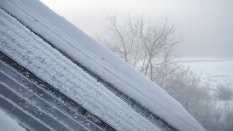 Panning camera capturing snow-covered corrugated metal roof and bare trees in misty winter