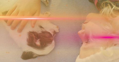 Girl cuddling newborn black and white puppy on soft blue blanket with warm flare