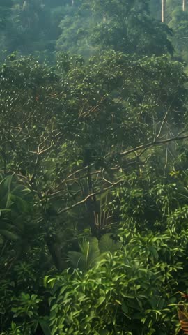 Forest canopy swaying in gentle breeze with sunbeams piercing mist — vertical video