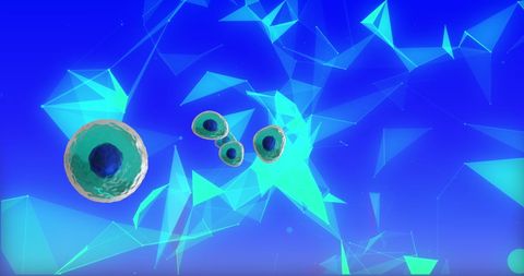 Holographic Visualization of Biological Cells on Abstract Network Background - Download Free Stock Images Pikwizard.com