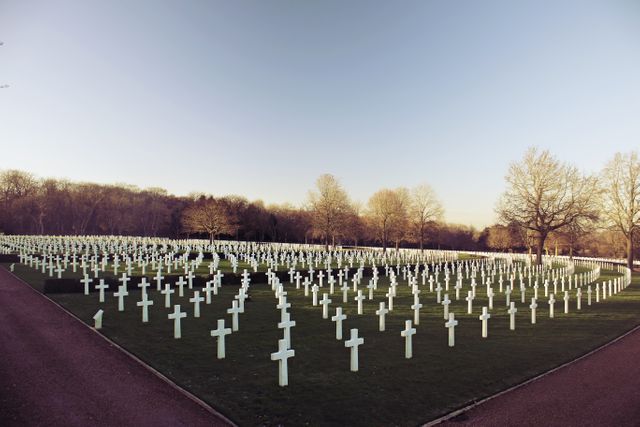 Rows of White Crosses at Military Cemetery During Dusk - Download Free Stock Photos Pikwizard.com